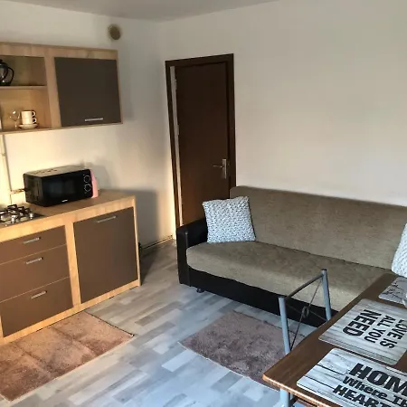 Apartment Ioana *
